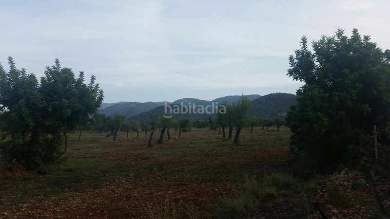 Foto e58a0de9-5d9b-4980-8310-c855b5b33231. Masia a Campanet