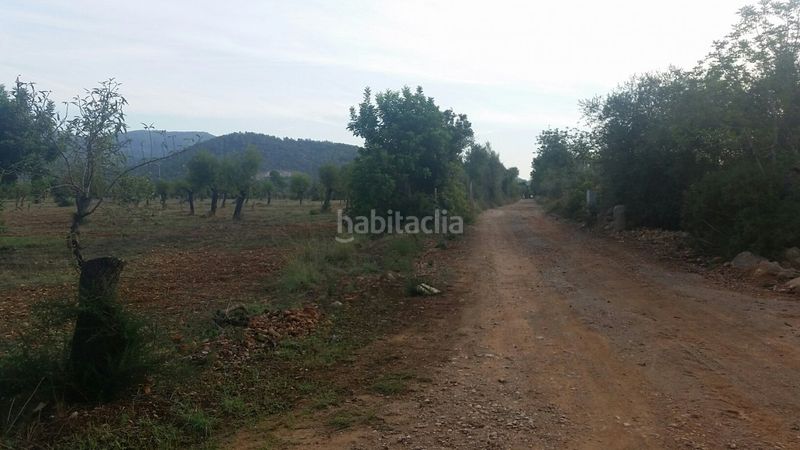 Foto f28b86f3-b456-469e-b246-b27b4f99b426. Masia a Campanet