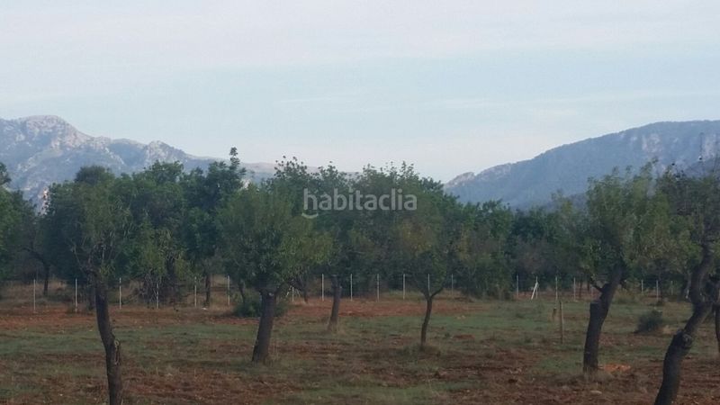 Foto f478958a-5754-4acd-97c0-a1d49cecdfe6. Masia a Campanet