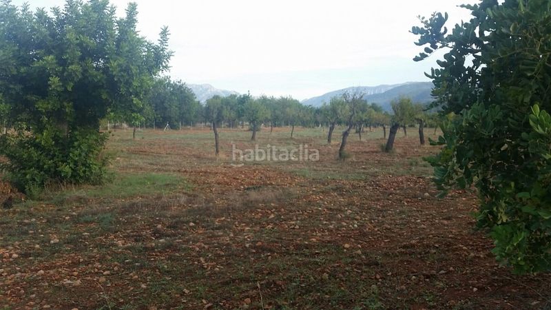 Foto f4a4d56e-a5c6-48b6-baa8-ddc009e29562. Masia a Campanet