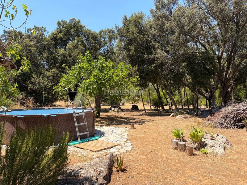 Foto dc63e665-91b8-4e40-9bc8-08b4d158e833. Masia amb calefacció piscina a Campanet
