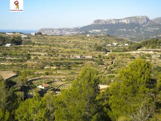 Terreny residencial a Benissa Pueblo. Parcela 15.000m2 en benissa