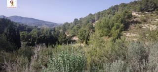 Terreny residencial a Benissa Pueblo. Parcela de 14.000 m2 aprox. en partida llenes benissa