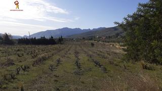 Terreny residencial a Benissa Pueblo. Parcela 12.000 m2 en venta en benissa