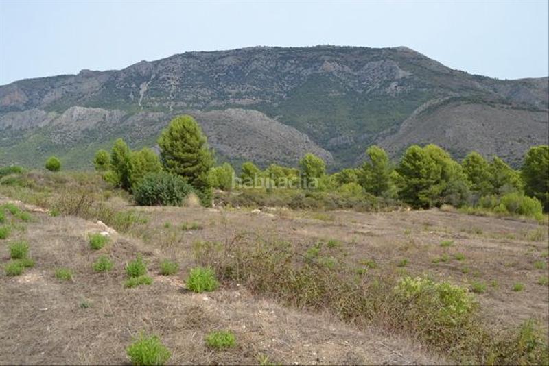 Foto 1e0d6d99-92ab-4149-beb4-93651e2e3b64. Wohngrundstück in Guadalest