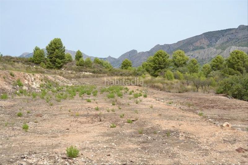 Foto 665dcba2-ae40-4d71-bb4d-21f54d85d91e. Wohngrundstück in Guadalest