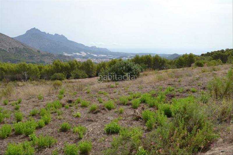 Foto 67a2122c-86a2-44f3-90df-0ebf6bd5e2fd. Wohngrundstück in Guadalest