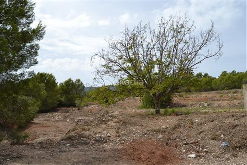 Foto bda90da4-0958-4fae-ad23-56ce17d39c0e. Wohngrundstück in Guadalest