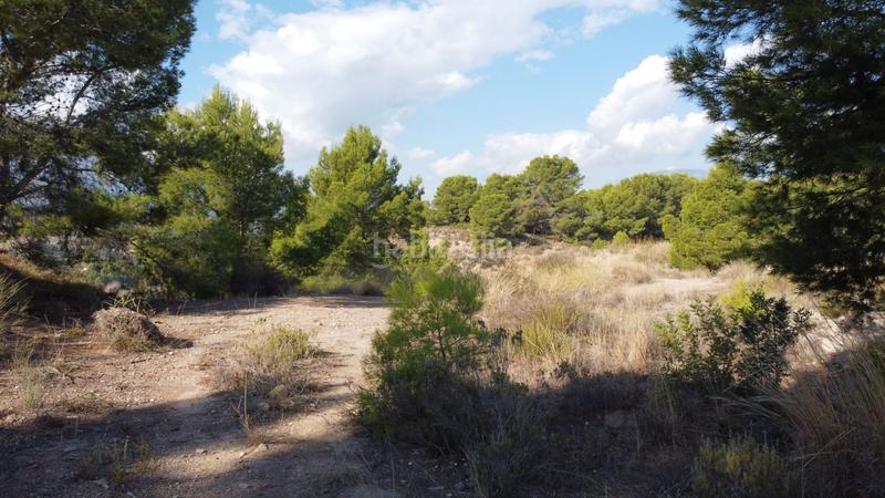 Foto 2a2228f2-810c-42e1-b0b7-aaa777079fab. Wohngrundstück in Altea la vella Altea