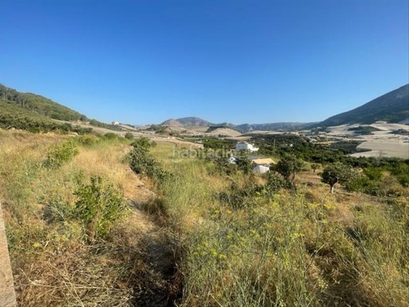 Foto 2de961b9-4d67-4e7a-b298-05a22ef92515. Terreny residencial a Altea la vella Altea