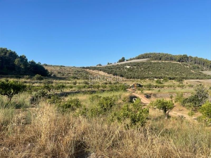 Foto 413a91f2-c7d8-44f4-ac0c-f4d368787bd8. Terreny residencial a Altea la vella Altea