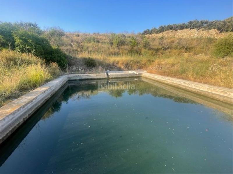 Foto 4d8548ee-dd23-43f0-aa7d-3ed451858322. Terreny residencial a Altea la vella Altea