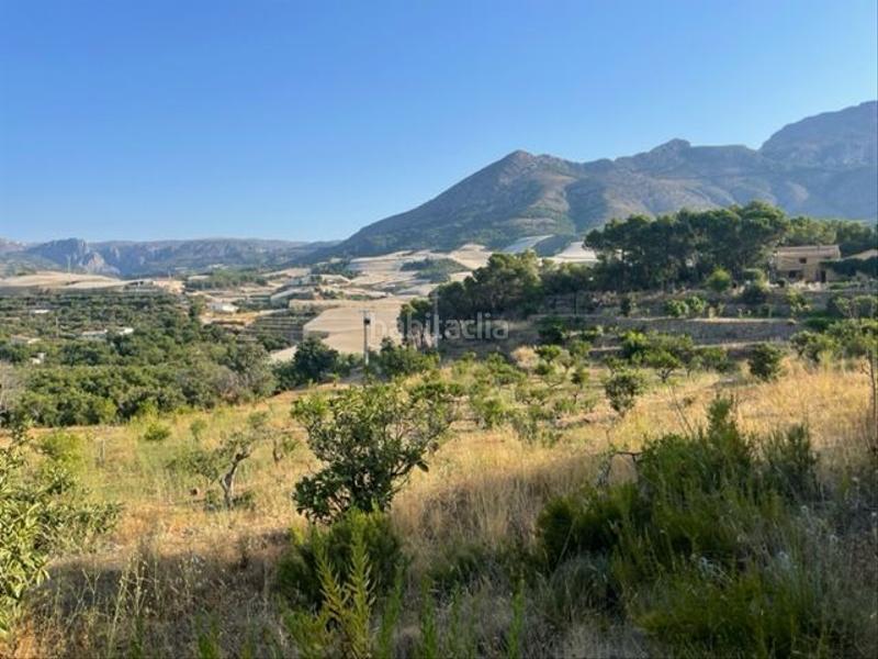 Foto d702ed8a-5938-4ab7-84b8-b62dbaf8aeee. Terreny residencial a Altea la vella Altea