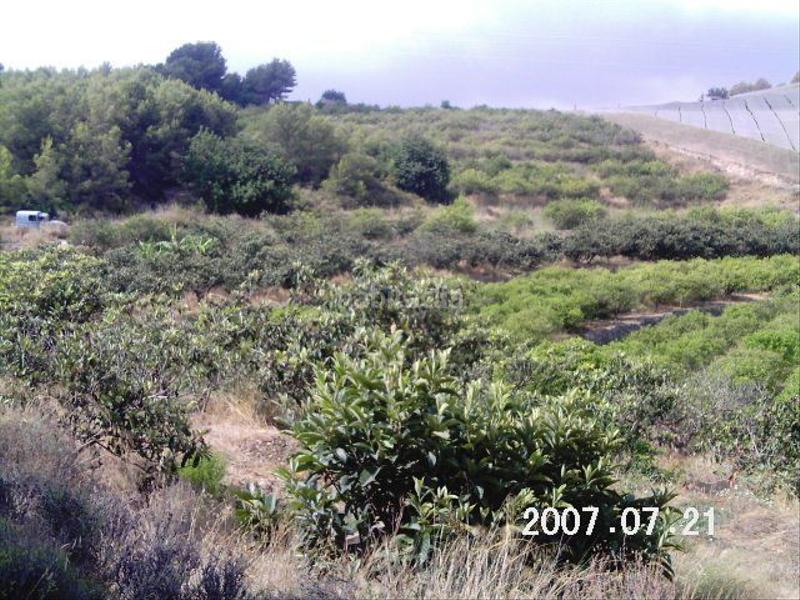 Foto f1c76ce8-1197-4b3a-9eae-93eb22ce78b8. Terreny residencial a Altea la vella Altea