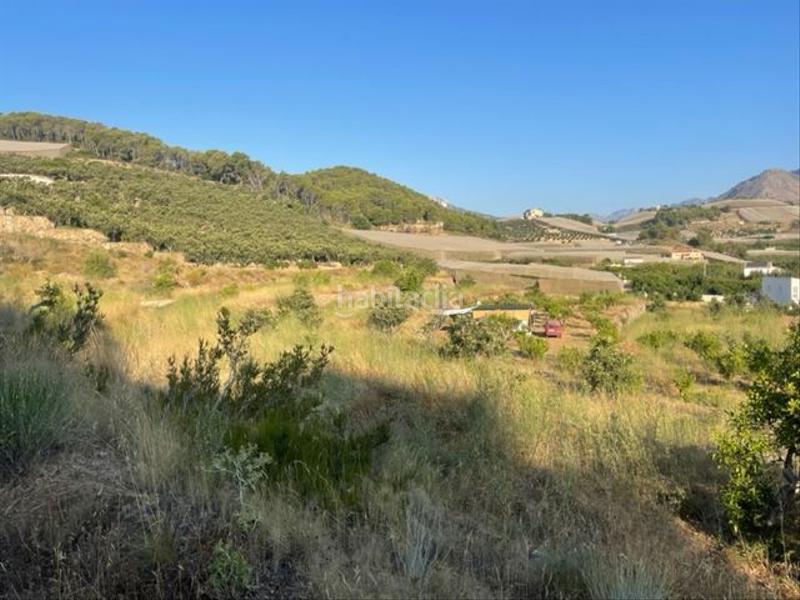 Foto f211b548-4b59-45b0-b2d6-81be8cf66500. Terreny residencial a Altea la vella Altea