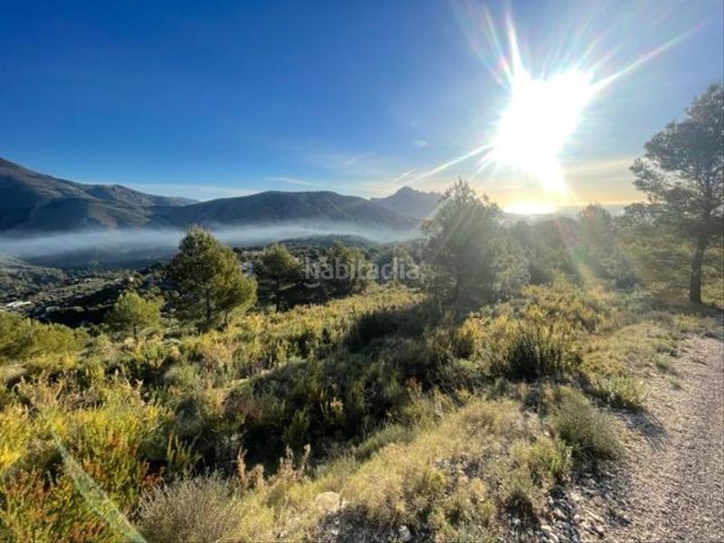 Foto 540ec1ed-2fba-433c-88d3-8327d639a19c. Terreno residenziale in Guadalest