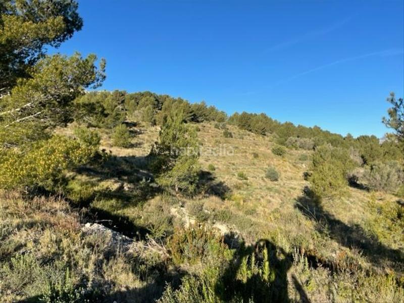 Foto 71b71afe-f720-4b98-812c-af56631389d2. Terreno residenziale in Guadalest