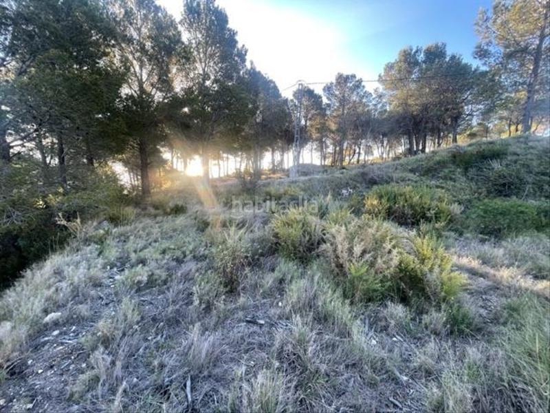 Foto 92b781c5-e438-4197-89a0-3df68eb716cb. Terreno residenziale in Guadalest