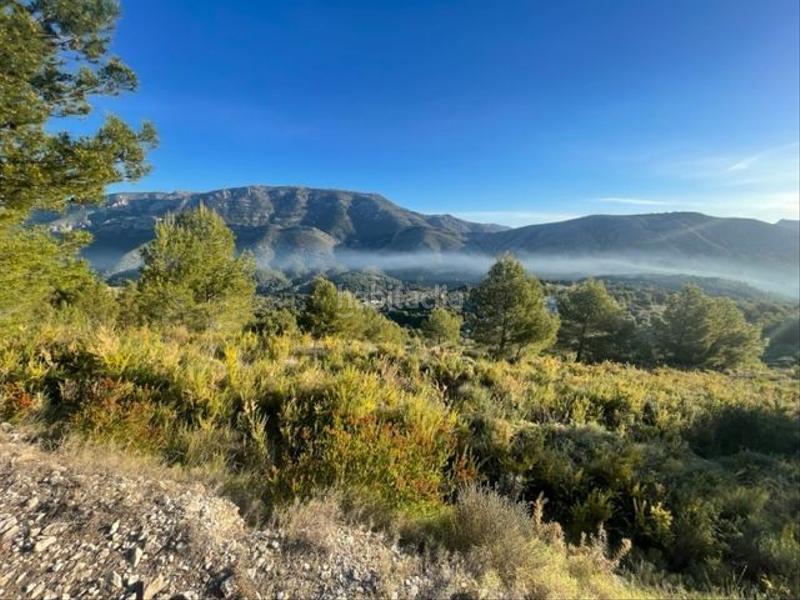 Foto bf46a83f-5cb0-4f81-80fd-f9842284a738. Terreno residenziale in Guadalest