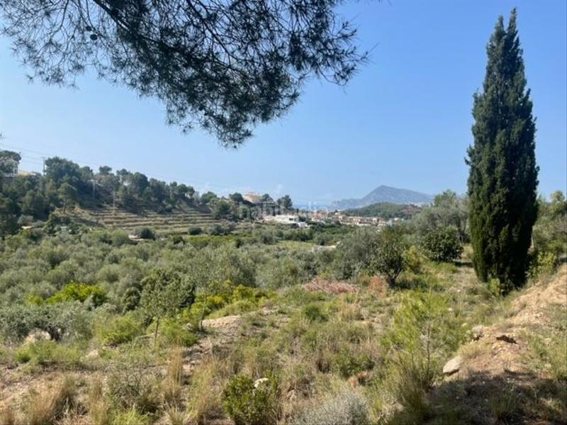 Foto 30e0d2e6-5ae6-47bd-9fbd-fd0f7a4be51e. Residential plot in Altea la vella Altea