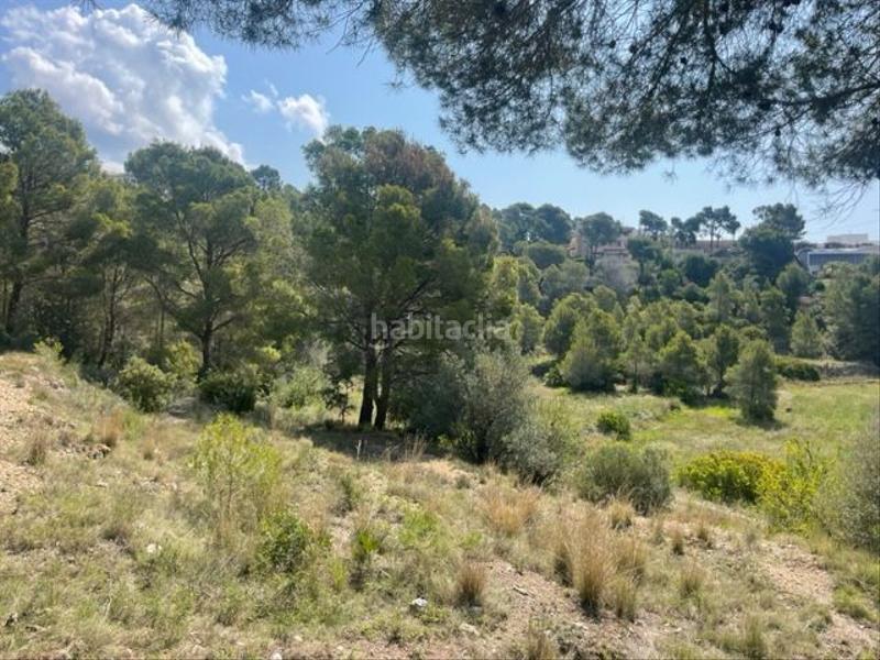 Foto c03cdfea-418a-4848-800b-f0ad3040837f. Residential plot in Altea la vella Altea