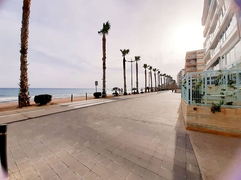 Foto 34b58a77-08b8-4f42-a366-c3fdb822f215. Pis a Platja de Vila Joiosa Vila Joiosa (la)