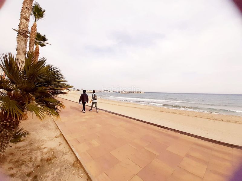 Foto c9d52032-a930-464b-bc96-8b88c5385344. Pis a Platja de Vila Joiosa Vila Joiosa (la)