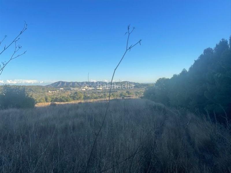 Foto 665ed10d-c68f-4165-8969-8d2396d1da01. Residential plot in Polop