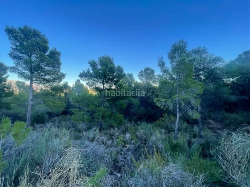 Foto b26eb55a-65d8-46ed-9311-9c873226dcc5. Residential plot in Polop