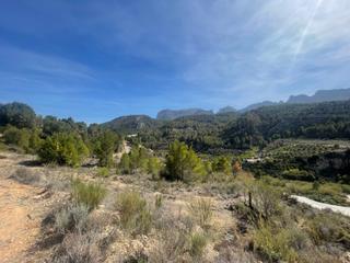 Terreny residencial a Callosa d´en Sarrià. Parcela rustica en venta en callosa carretera guadalest. con pos