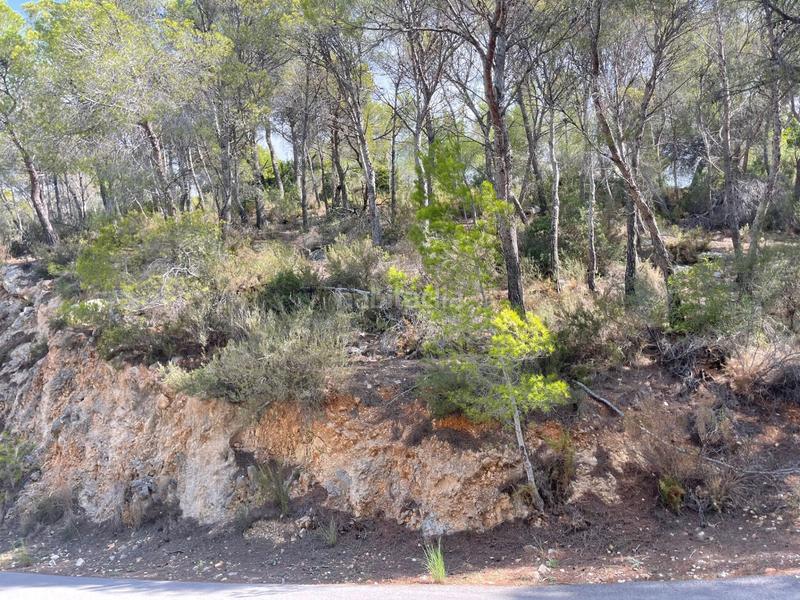 Foto 5357c5a7-6c66-4107-9011-48bf648aeecf. Terreno residencial parcela edificable de 1.710m2 con proyecto en venta . hermosa vista al mar!!! en Altea