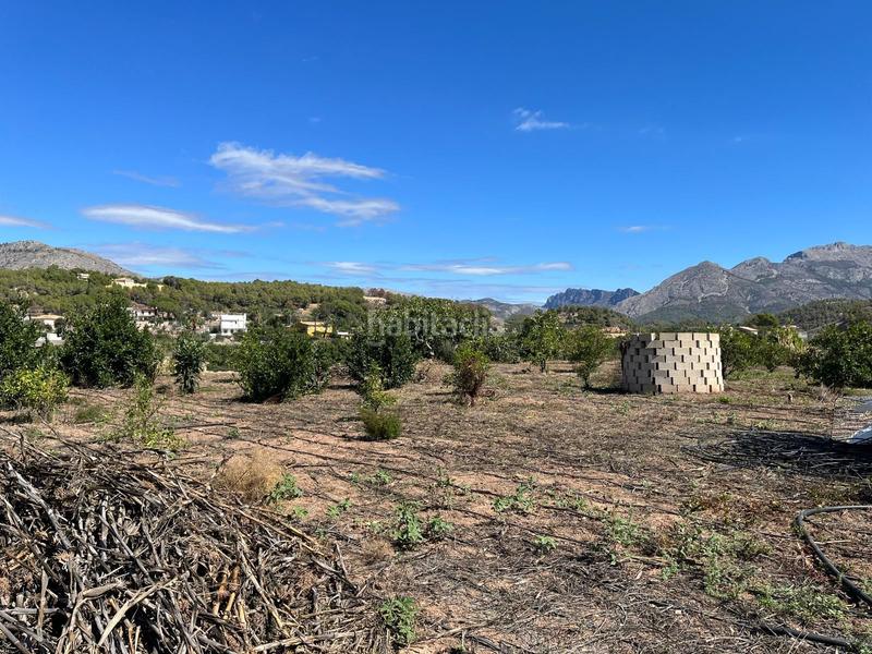 Foto c46315f9-61b6-4a00-bd92-74e9d5dd6a5c. Terrain résidentiel dans Polop