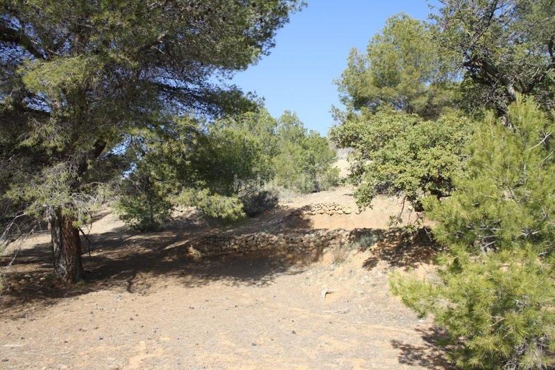 Foto 33069c3f-8f7c-4630-afe6-5d78ed80bc99. Casa con riscaldamento piscina in Altea ciudad Altea