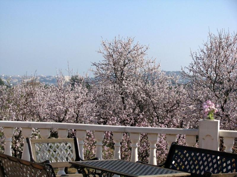 Foto 8d7d2c4a-f34e-4a85-8d10-3b815e156e94. Casa con riscaldamento piscina in Altea ciudad Altea