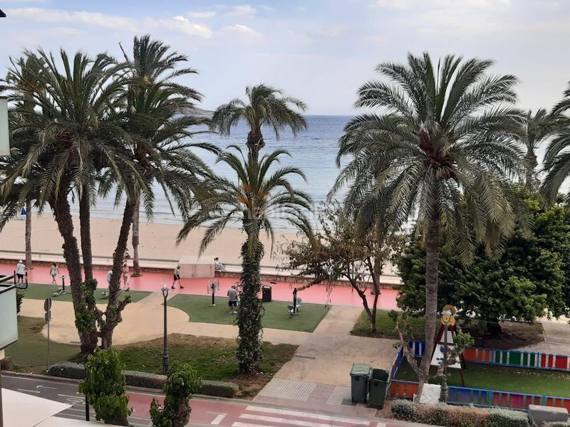 Foto 2206a90c-1902-4dfb-bf4f-775d13626fcd. Affitto appartamento in Centro Urbano Benidorm