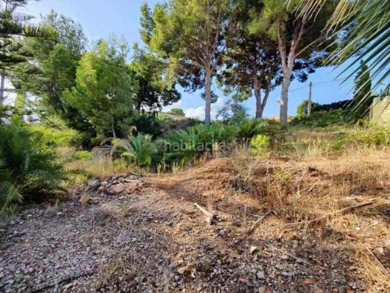 Foto 3f869e0a-5914-418a-b03b-2c3d6f1ff57e. Terrain résidentiel dans Escandinavia-Cautivador Alfàs del Pi (l´)