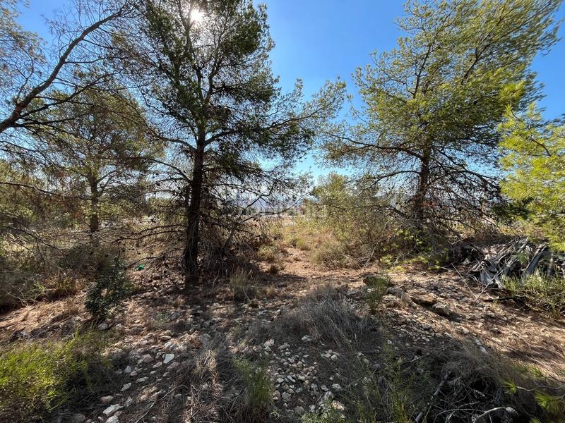 Foto 0be60bc5-3cfb-48c1-b572-b0aa8bacc702. Terreno residencial parcela urbana en Golf Bahía Finestrat