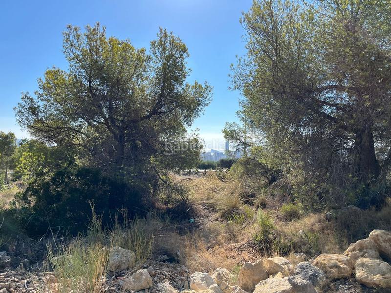 Foto d2804bb8-b2a6-40f0-b056-c3216a9938a5. Terreno residencial parcela urbana en Golf Bahía Finestrat