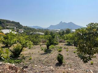 Terreno residencial en Callosa d´en Sarrià. Parcela rústica con vistas al mar en venta para construir  callo