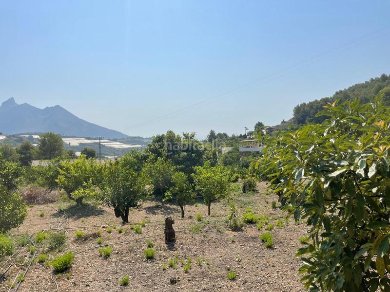 Foto 4b976210-5af4-4fab-b32d-c85a5367efcd. Terrain résidentiel dans Callosa d´en Sarrià