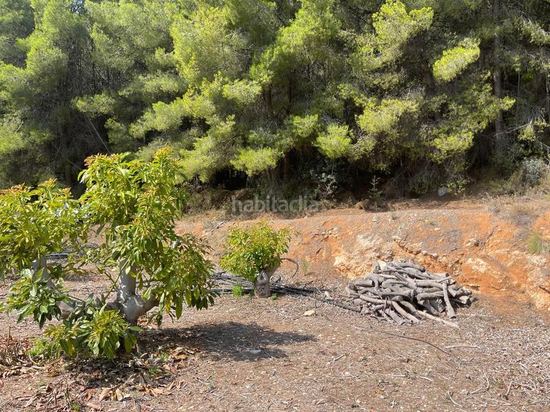 Foto 6dc202d6-3d4f-4990-b450-6facd22df6e9. Terrain résidentiel dans Callosa d´en Sarrià