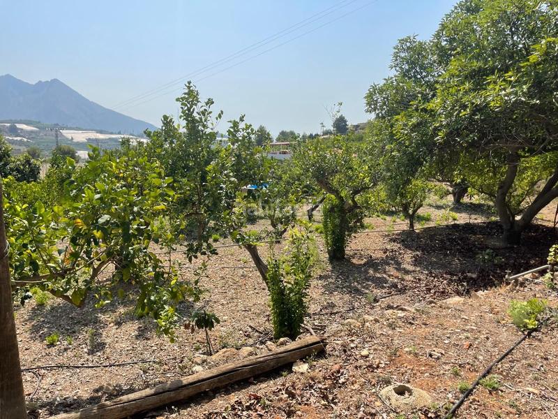 Foto c70482ce-728d-4e13-9c3c-9279957f25b3. Terrain résidentiel dans Callosa d´en Sarrià