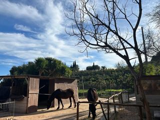 Casa in Xirles. Se vende en polop una casa de campo sólida y elegantemente refor
