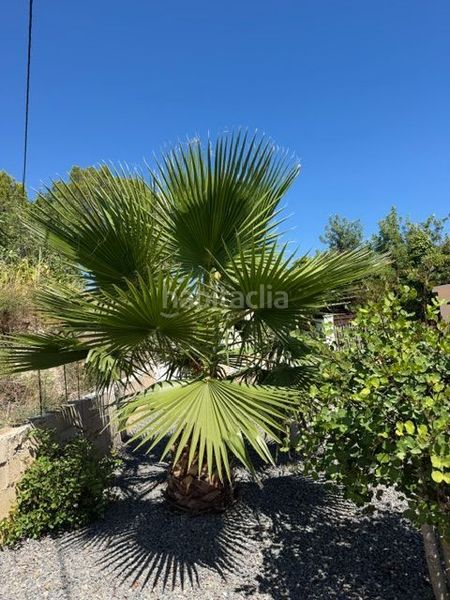 Foto 89662d4f-850d-4412-bc39-613dbf7738d0. Alquiler casa chalet reformado de una planta en alquiler de larga temporada la vella. a estrenar en Altea