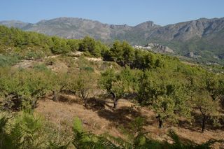 Terreno residencial en Guadalest