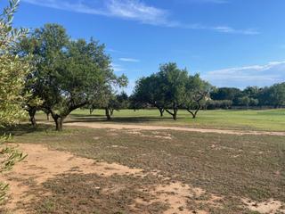 Wohngrundstck in Migjorn. Terreno urbano en venta en golf aigues verds.
