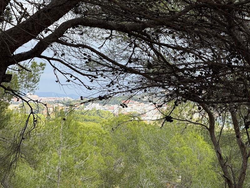 Foto 09aa04ff-236f-4586-8a4c-901470ccce89. Terreny residencial a La Mora Tarragona