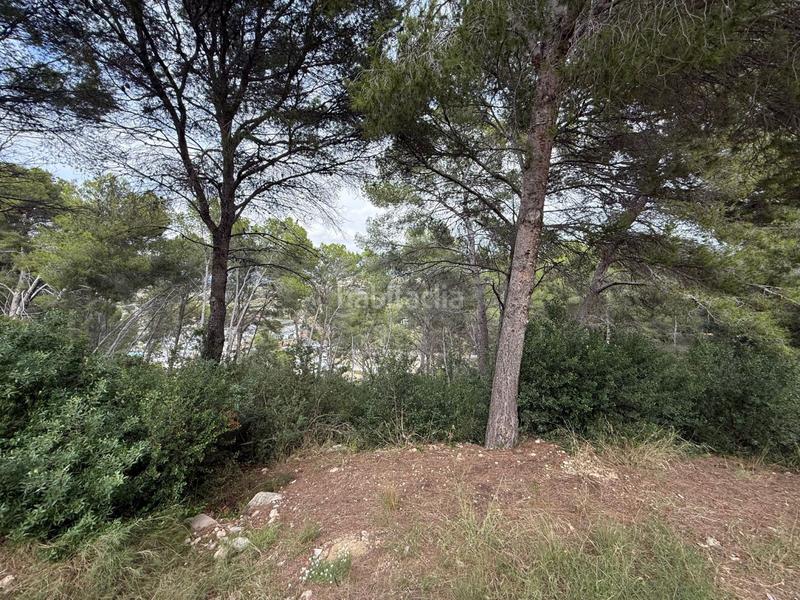 Foto 0bffbfb2-2577-4323-9f61-3c33a33434bb. Terreny residencial a La Mora Tarragona