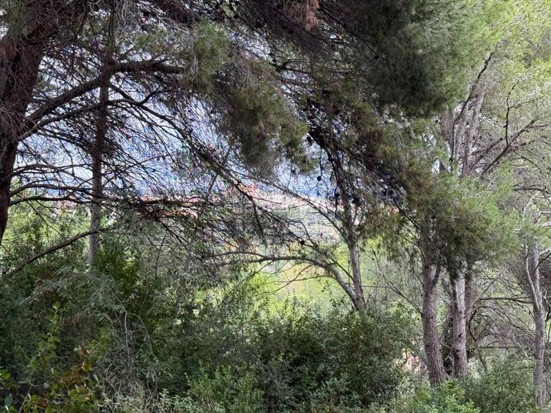 Foto 1d9f75e9-6cb2-49da-8d04-c94e1fb99a2d. Terreny residencial a La Mora Tarragona