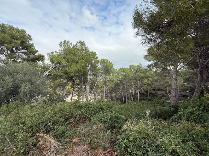 Foto 37ba7ced-31c3-4b46-ac77-146ab619e92d. Terreny residencial a La Mora Tarragona